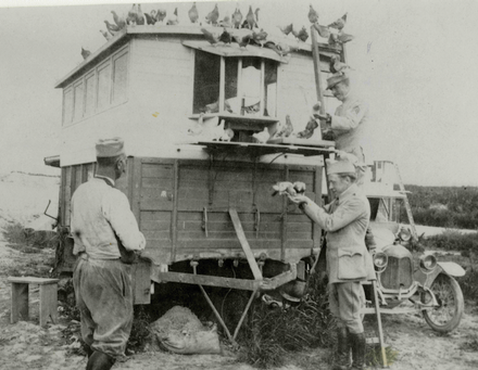 Caplet sergent colombophile. Le pigeonnier mobile (photographie)