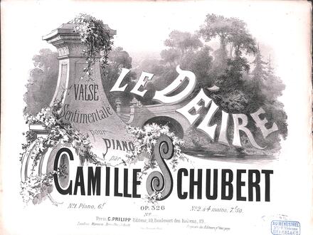 Le Délire (Camille Schubert)